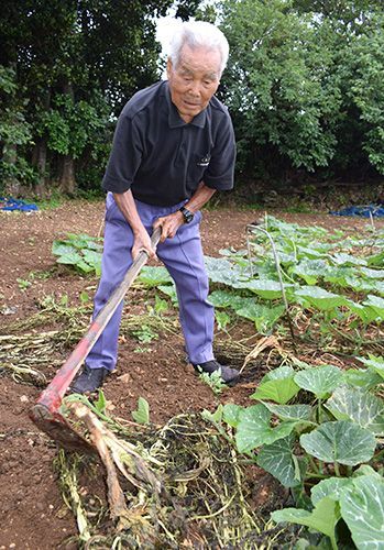 Active Grandpa Turns 100 “I wish I were 18 or 19 Again!” To the Fields Again Today	Mr. Yamajiro of Ie