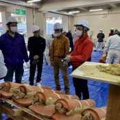 Preserving the craft, craftsmen learn to plaster traditional Ryukyuan red-tiles