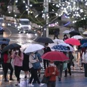 Umbrellas ‘bloom’ in December skies: Expect more gloom and rain next week