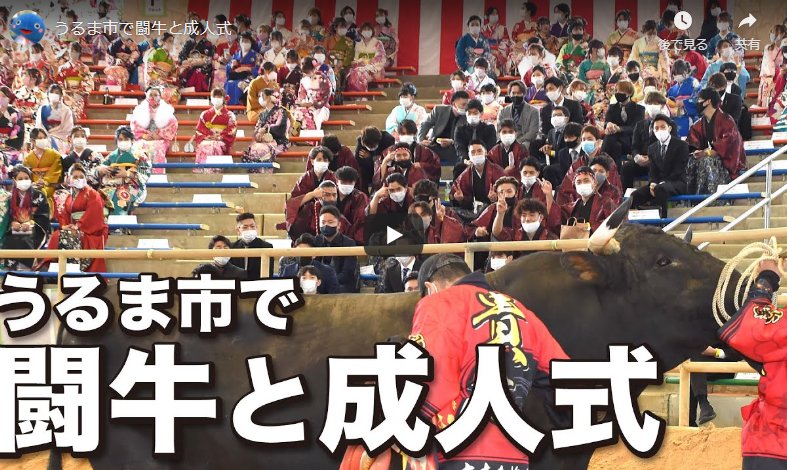 Video – Uruma City combines bullfighting and a coming-of-age ceremony amid the coronavirus pandemic