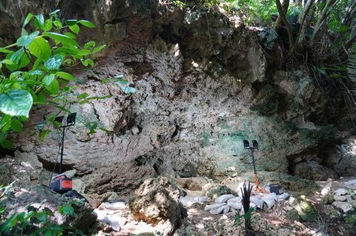 Amami’s oldest rock shelter tomb identified as 11-12th-century sakudamata, age determined by remains discovered there