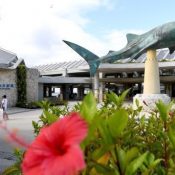 School trips to Okinawa decrease in 2021 by 34% compared to pre-COVID levels, down to 1,567 schools