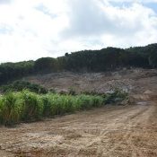 206 local government assemblies have passed written opinion demanding land from Okinawa’s southern region not be excavated for use
