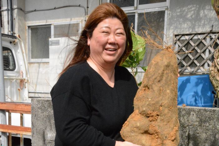 First woman wins Yamaimo Competition with 170-kilogram yamaimo
